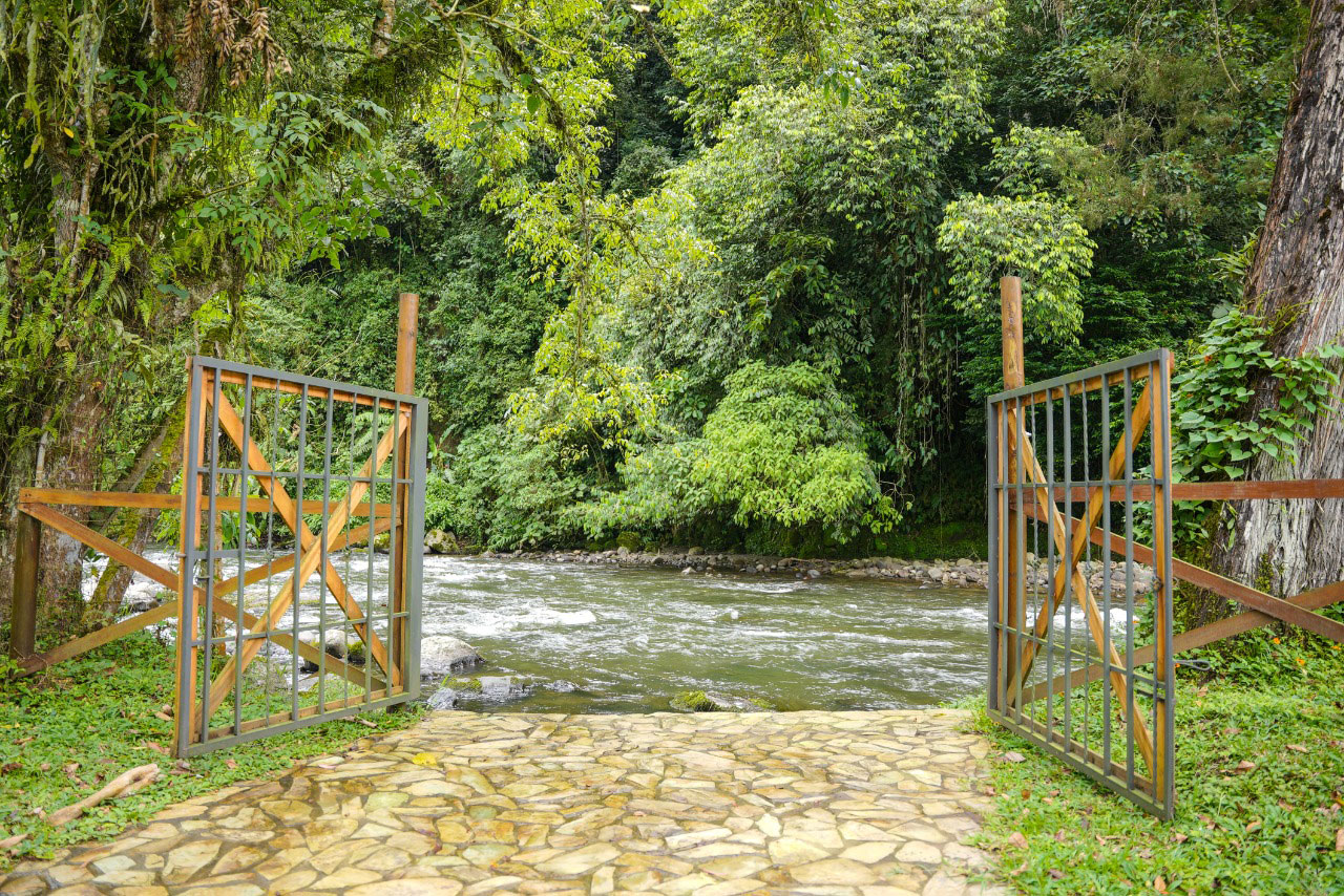 Río 1