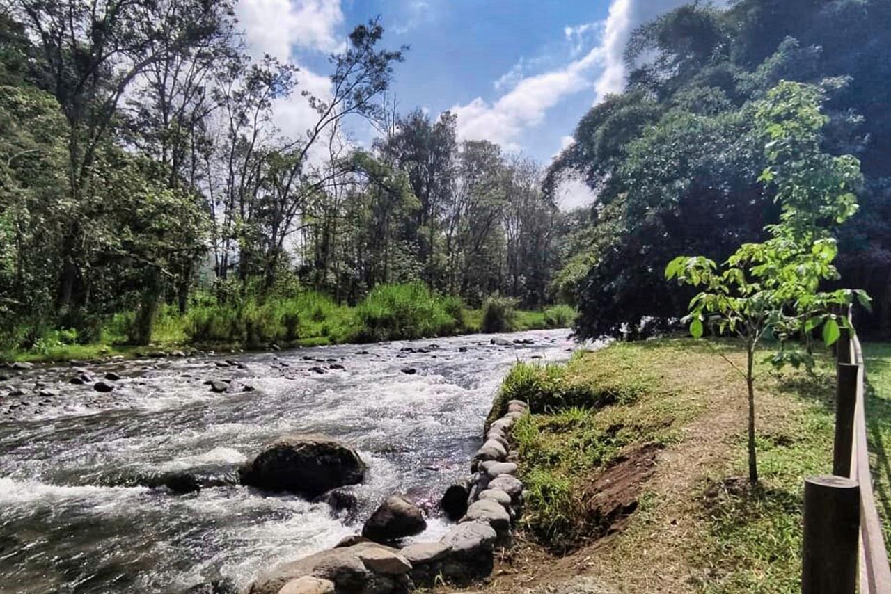 Río 7